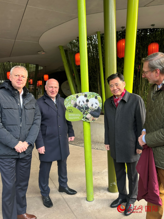 中國(guó)駐德國(guó)大使吳懇（右二）、柏林市長(zhǎng)韋格納（左二）、動(dòng)物園園長(zhǎng)克尼里姆（右一）和監(jiān)事會(huì)主席布魯克曼（左一）共同為“夢(mèng)想”“夢(mèng)圓”大熊貓紀(jì)念牌揭幕。人民網(wǎng)記者 徐馨攝
