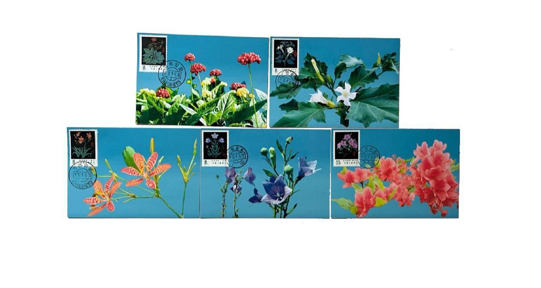 首套藥用植物極限片。第七屆阿聯酋集郵展主辦方供圖