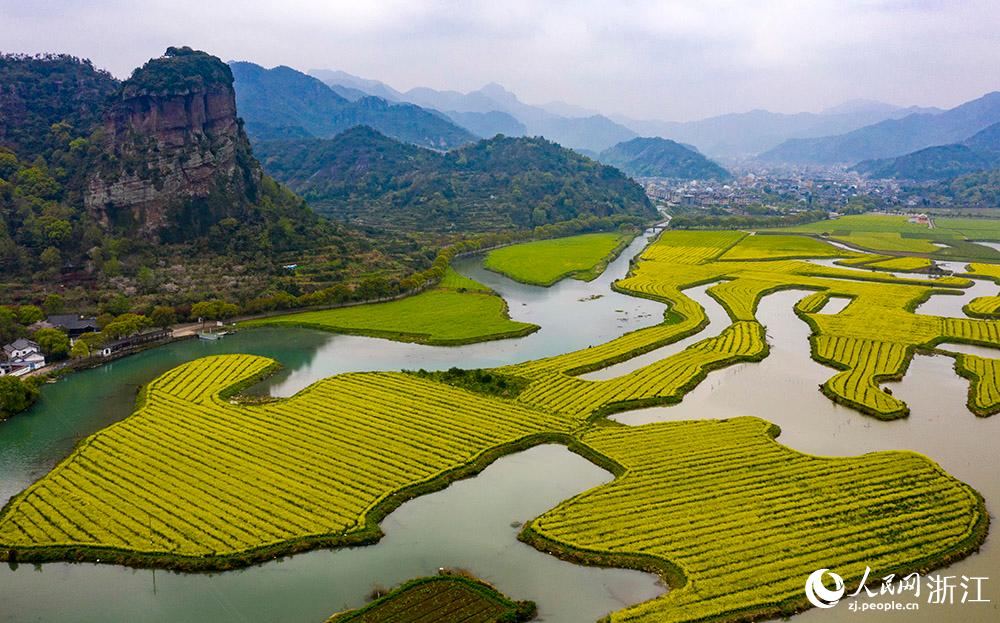 3月28日，航拍浙江省臨海市桃渚鎮桃江十三渚盛開的油菜花景色。人民網 章勇濤攝