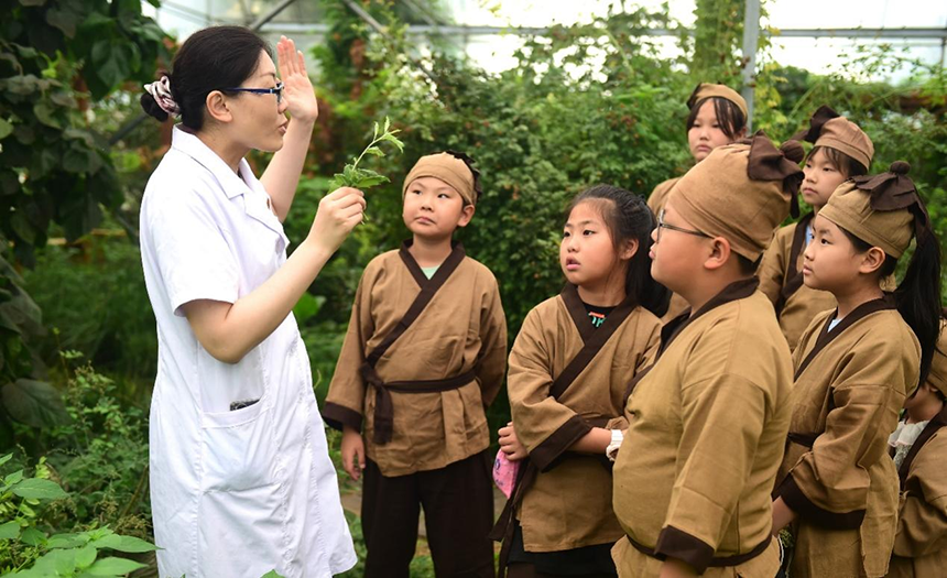 參加活動(dòng)的孩子聆聽(tīng)滄州市人民醫(yī)院國(guó)醫(yī)館中醫(yī)對(duì)中藥材的講解。 傅新春攝