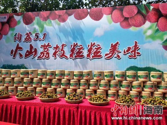 圖為活動現(xiàn)場。蘇桂除 攝