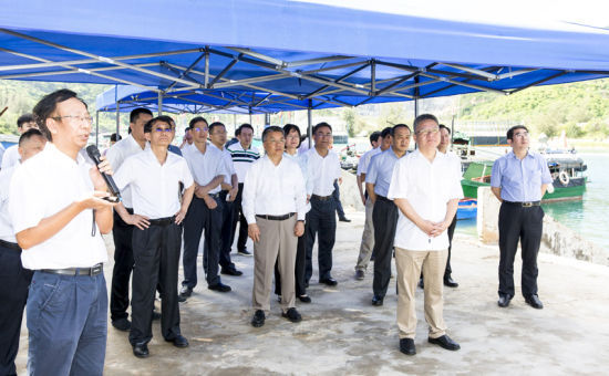 2019年6月21日上午，省長沈曉明率省政府班子成員在三亞鐵爐港調研項目規劃建設情況。海南日報記者 宋國強 攝