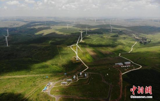 6月28日，河北張家口張北草原上大片風力發電的“風車”規模宏大。 中新社記者 楊艷敏 攝