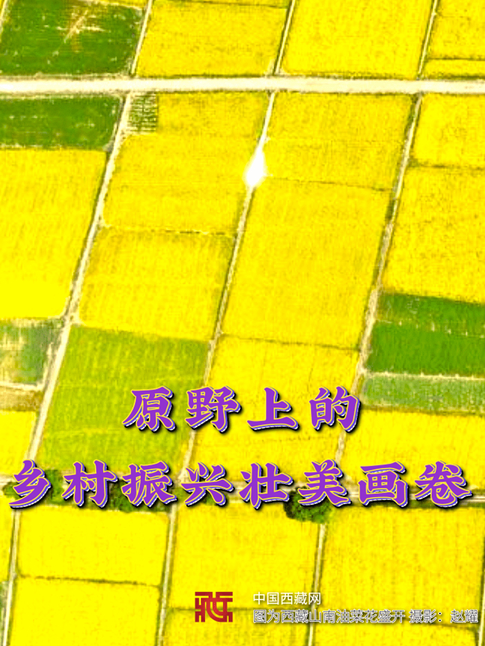 十年答卷?西?? 原野上的鄉村振興壯美畫卷_1@凡科快圖_副本.jpg