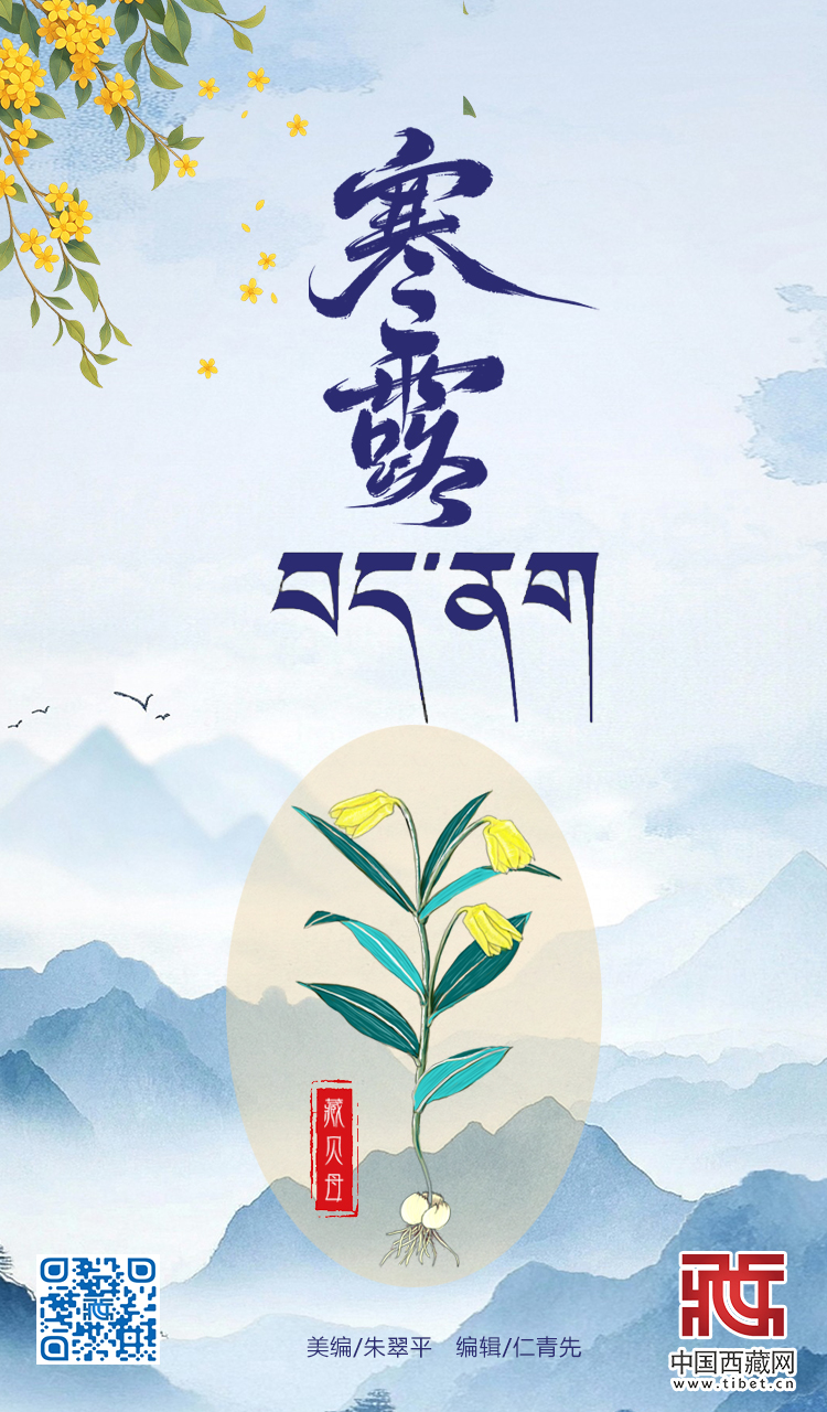寒露.jpg