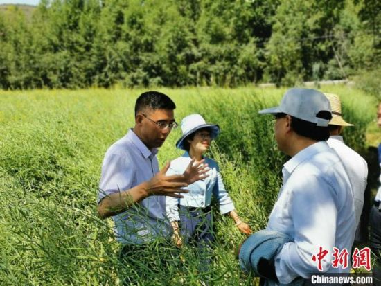 圖為九三學社青海省委主委杜德志(左一)在基層調研。受訪者供圖