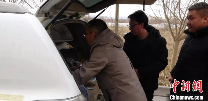 圖為民警救助國(guó)家二級(jí)保護(hù)動(dòng)物——大天鵝。青海省公安廳森林警察總隊(duì)供圖