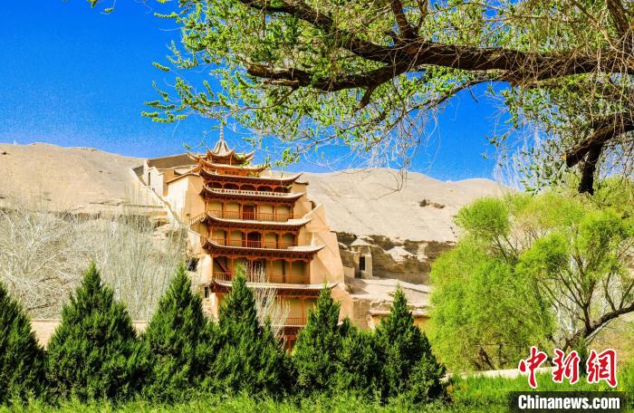 甘肅敦煌檢方督促防護(hù)林?jǐn)鄮аa植已補種逾13萬株樹木