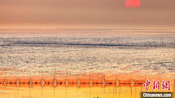 江蘇鹽城被譽為金灘銀蕩、魚米之鄉。　鹽城市委宣傳部供圖