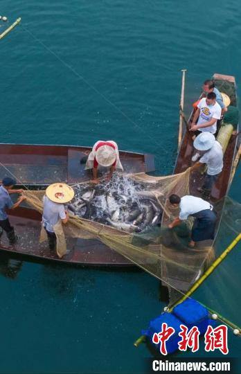 捕魚現(xiàn)場。　主辦方供圖