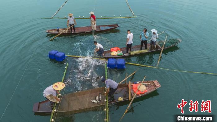 捕魚現(xiàn)場。　主辦方供圖