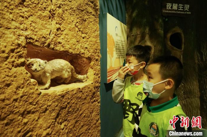 圖為小朋友在青海西寧湟水國家濕地公園科普館內參觀學習?！●R銘言 攝