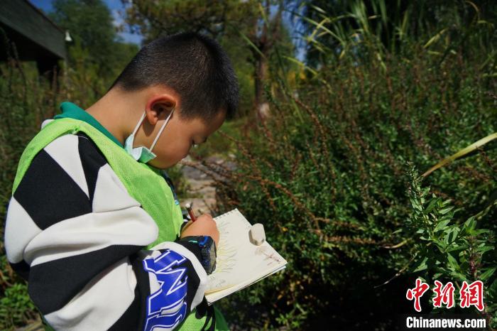 圖為小朋友在青海西寧湟水國家濕地公園內認識植物并進行繪畫。　馬銘言 攝