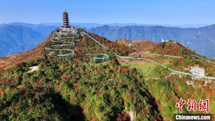 巴山大峽谷彩林迎來最佳觀賞期?！∫κ?攝