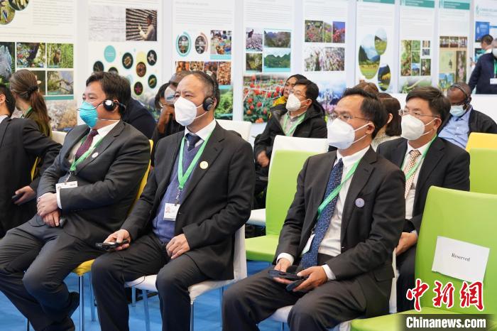 圖為極小種群物種和生物多樣性保護邊會現場?！≡颇鲜×謽I和草原局供圖