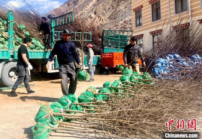 民眾搬運苗木?！〔际忻⒖悼h委宣傳部供圖
