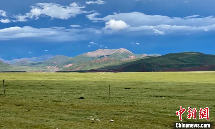 青海玉樹草原綜合植被蓋度連續3年持增長態勢