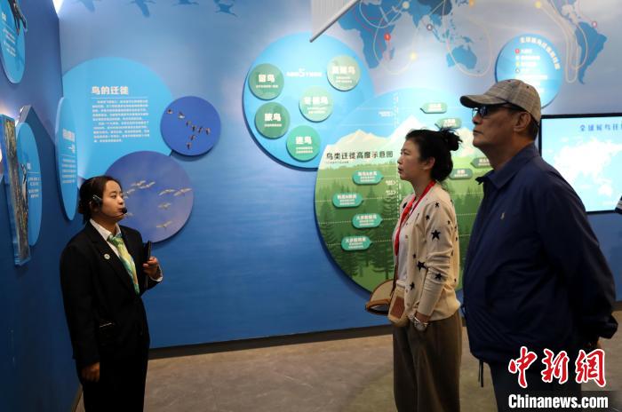 圖為臺商在祁連山國家公園生態科普館內聆聽講解?！⊙Φ?攝
