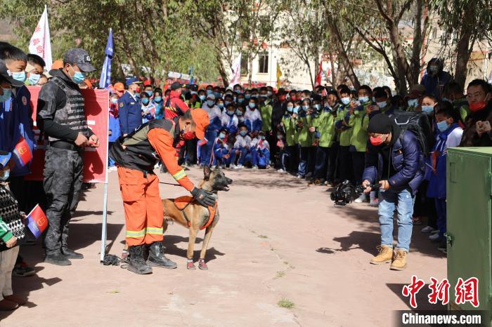 圖為搜救犬服從和箱體搜救演練。　趙琳 攝