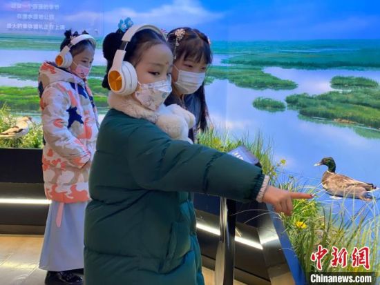 圖為學(xué)生在西寧市第一中學(xué)濕地科普宣教館內(nèi)參觀。　李江寧 攝