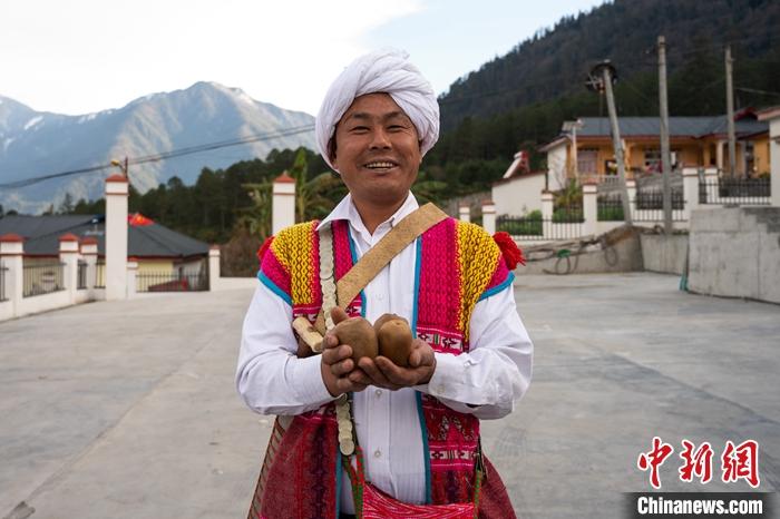 1月29日，京都村委會(huì)主任阿胖正在展示該村種植的獼猴桃。<a target='_blank' ><p  align=