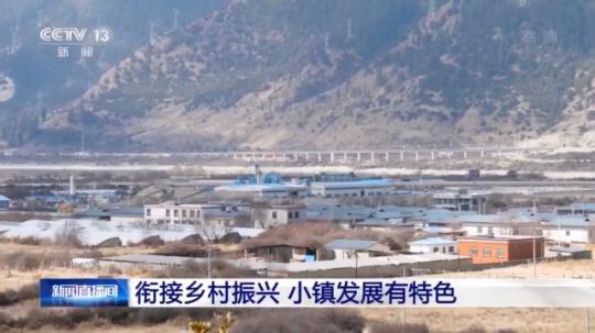 種蘑菇、養(yǎng)駱駝...。。特色產(chǎn)業(yè)助力鄉(xiāng)村振興走新路