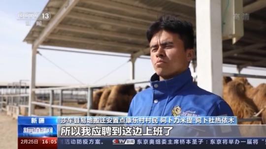 種蘑菇、養駱駝...。。特色產業助力鄉村振興走新路