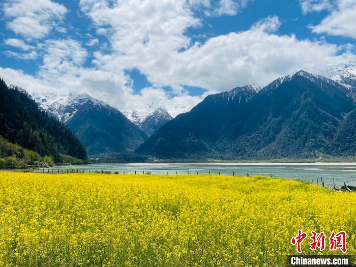 2021年西藏自治區鄉村旅游累計接待1274.11萬人次