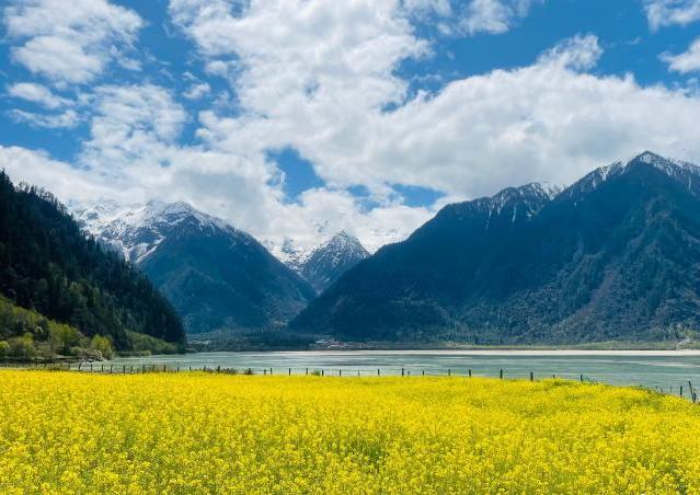 2021年西藏自治區鄉村旅游累計接待1274.11萬人次