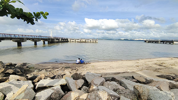 深圳紅樹林灘涂，留給了孩子們親近自然的空間。人民網記者 李彤攝