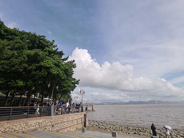 紅樹林灘涂沿線一角。人民網記者 張素玲攝