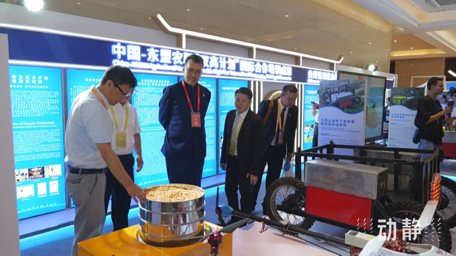 展示成果分享經(jīng)驗，中國—東盟教育交流周深化合作共創(chuàng)未來！