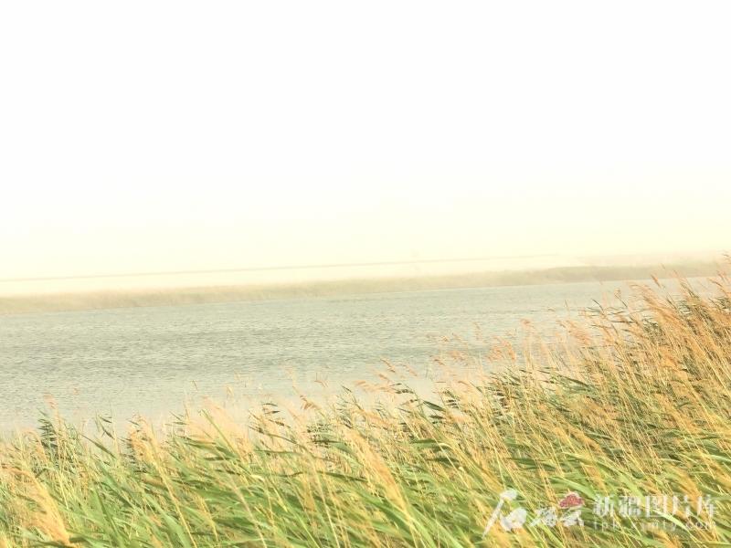 IMG_20250612_210447