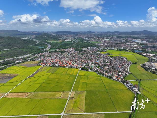 崖口村。