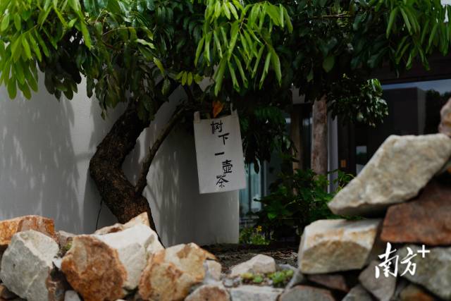 崖口村內的文藝民宿。