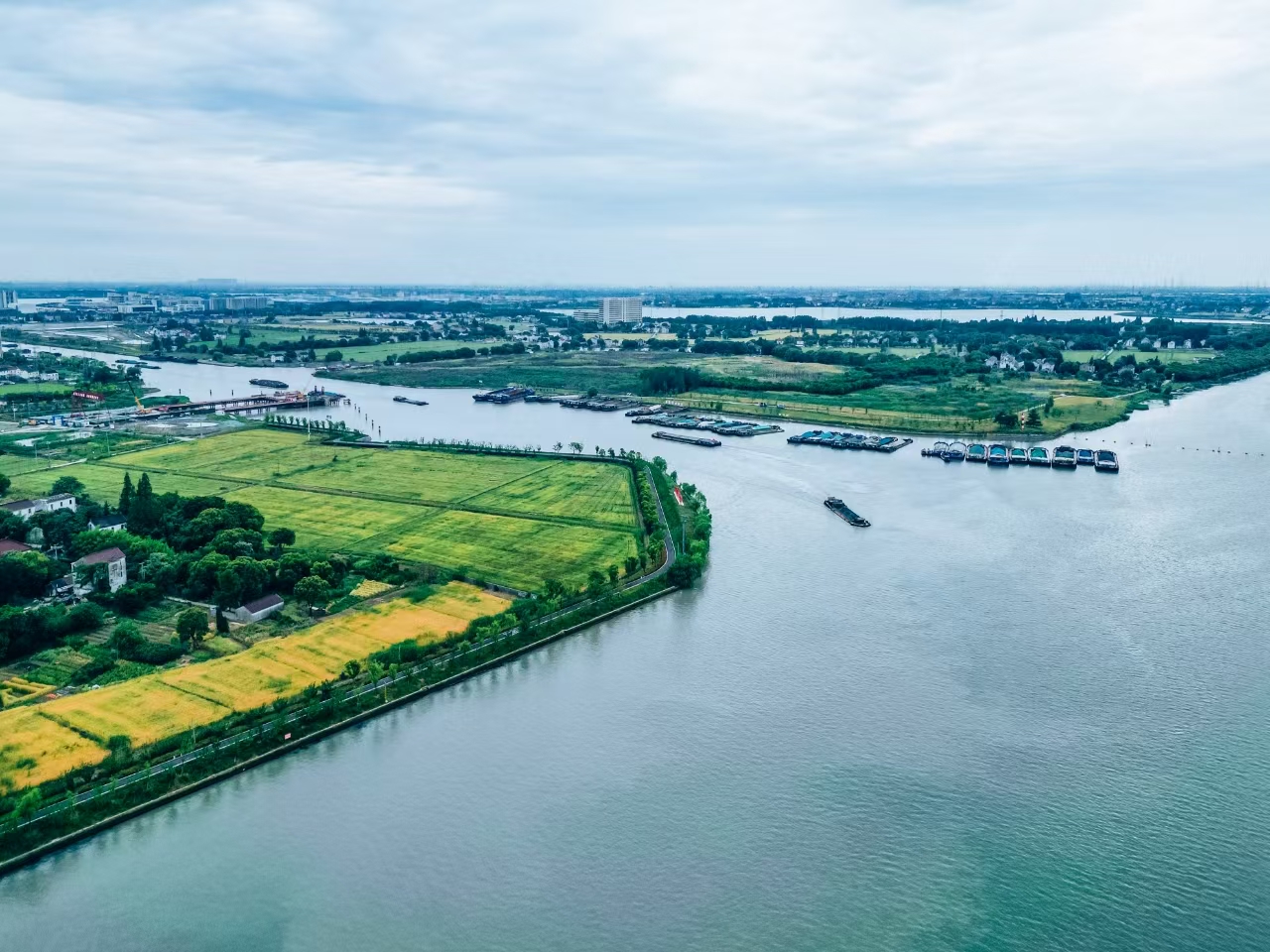 太浦河沿岸好風光。吳橫軒攝