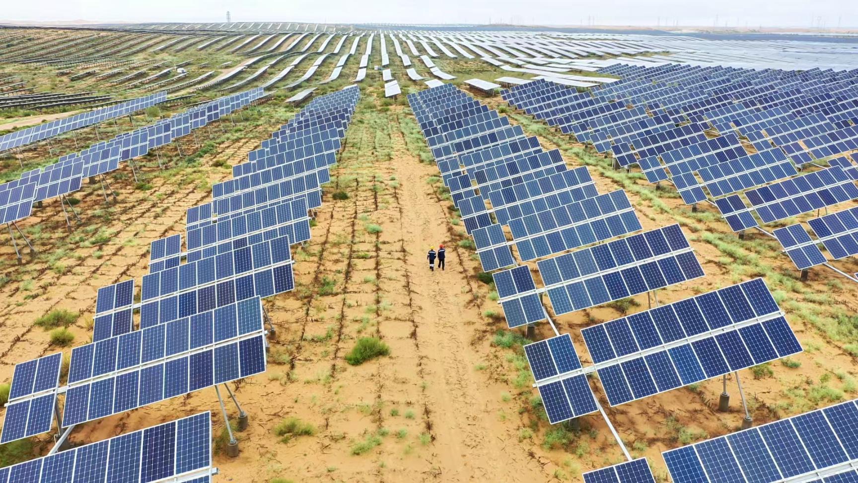 達拉特旗光伏發電應用領跑基地。人民網記者 魏青成攝
