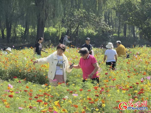 何以中國·理想都城｜數字化技術再現圓明園昔日輝煌盛景