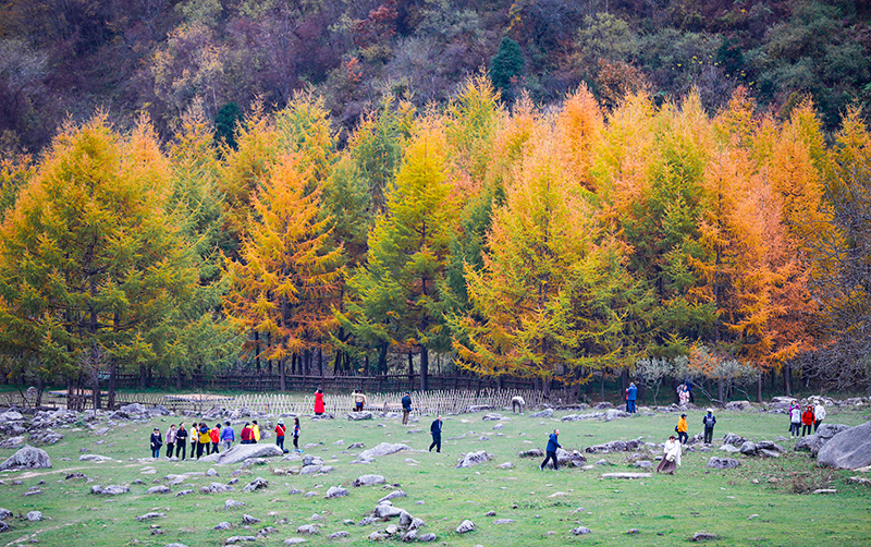 2023年10月27日，深秋時節的陜西秦嶺太子嶺漫山紅黃、色彩交織，進入最佳觀賞期。