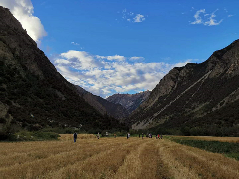 1.西藏自治區林芝市察隅縣古拉鄉俄玉村秋收正忙_副本.jpg