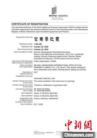 圖為“甘南羊肚菌”國際商標注冊證書。(資料圖) 甘南州市場監管局供圖