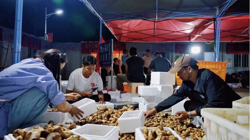 直播現場。雅江外宣供圖