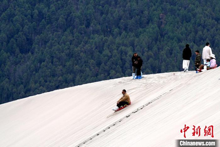 游客西藏米林樂享美好春光
