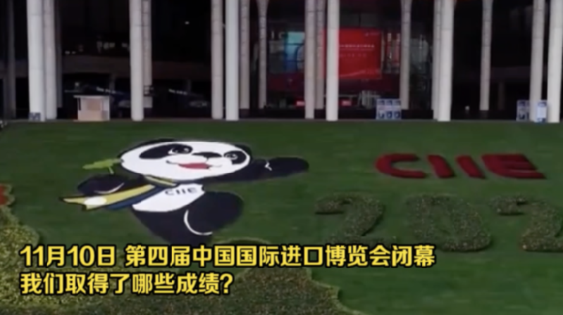 從進(jìn)博會(huì)看入世20年 這份成績(jī)單請(qǐng)收好！